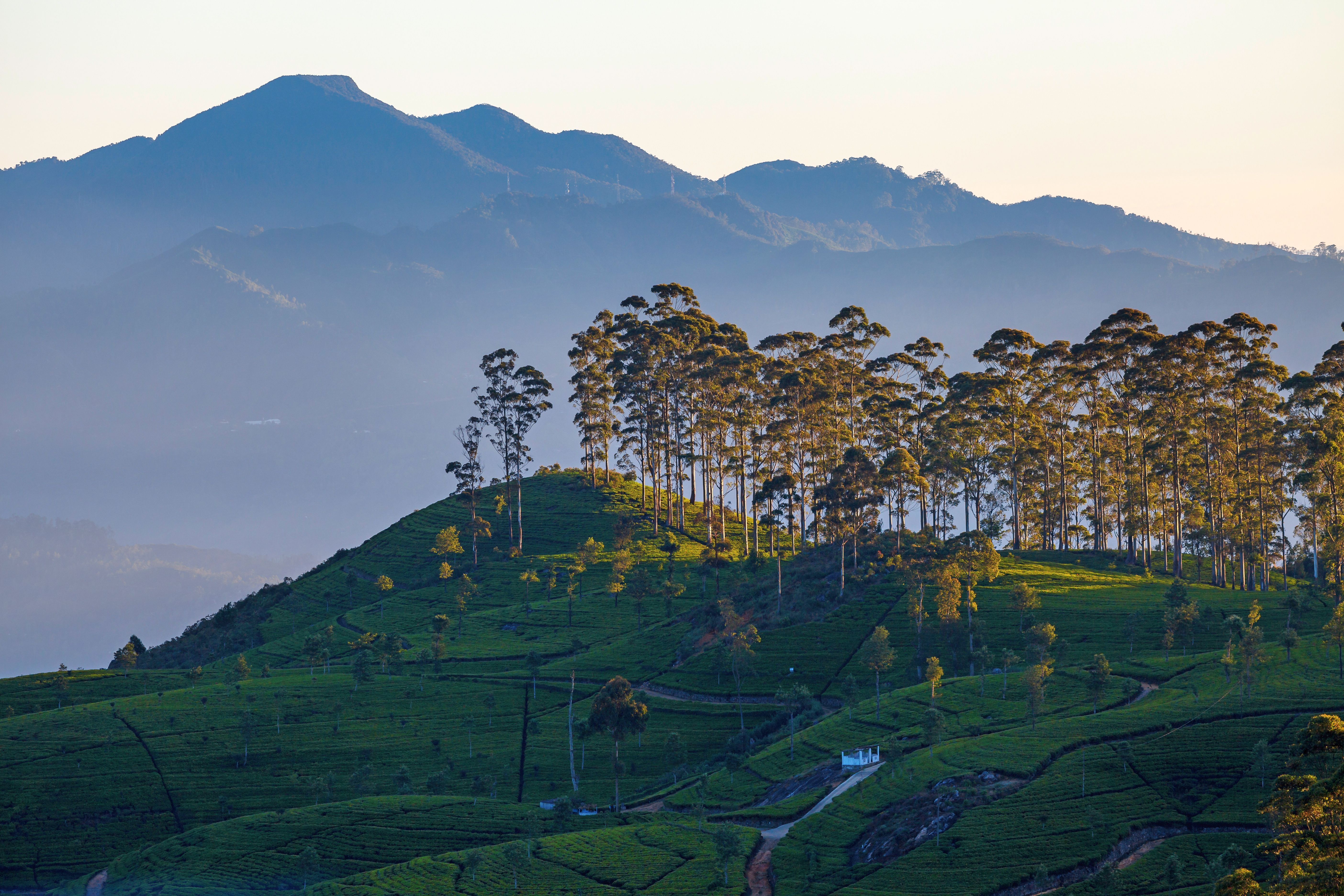 8 highlights of Sri Lanka's Hill Country | Wanderlust