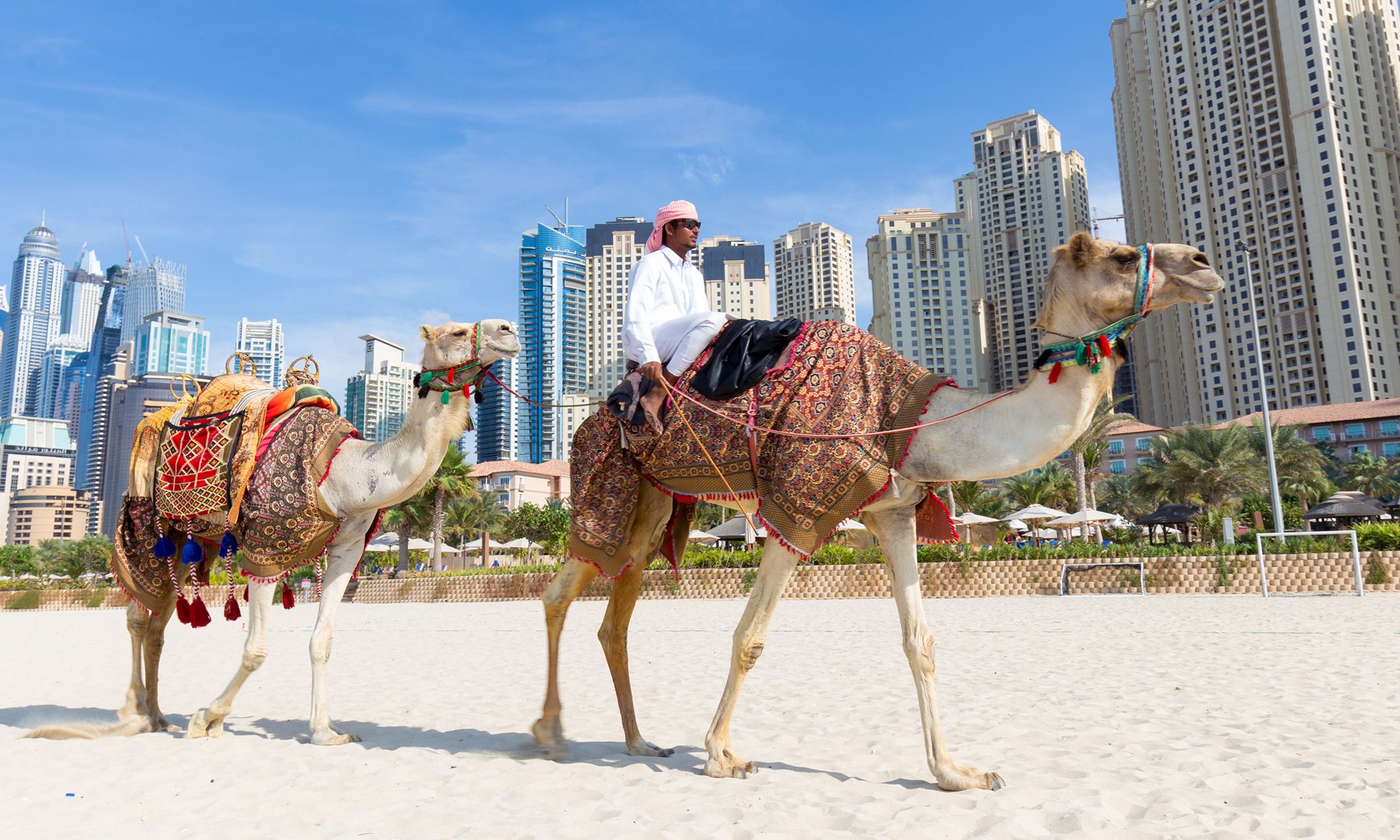 15 Extraordinary Things To Do In The United Arab Emirates