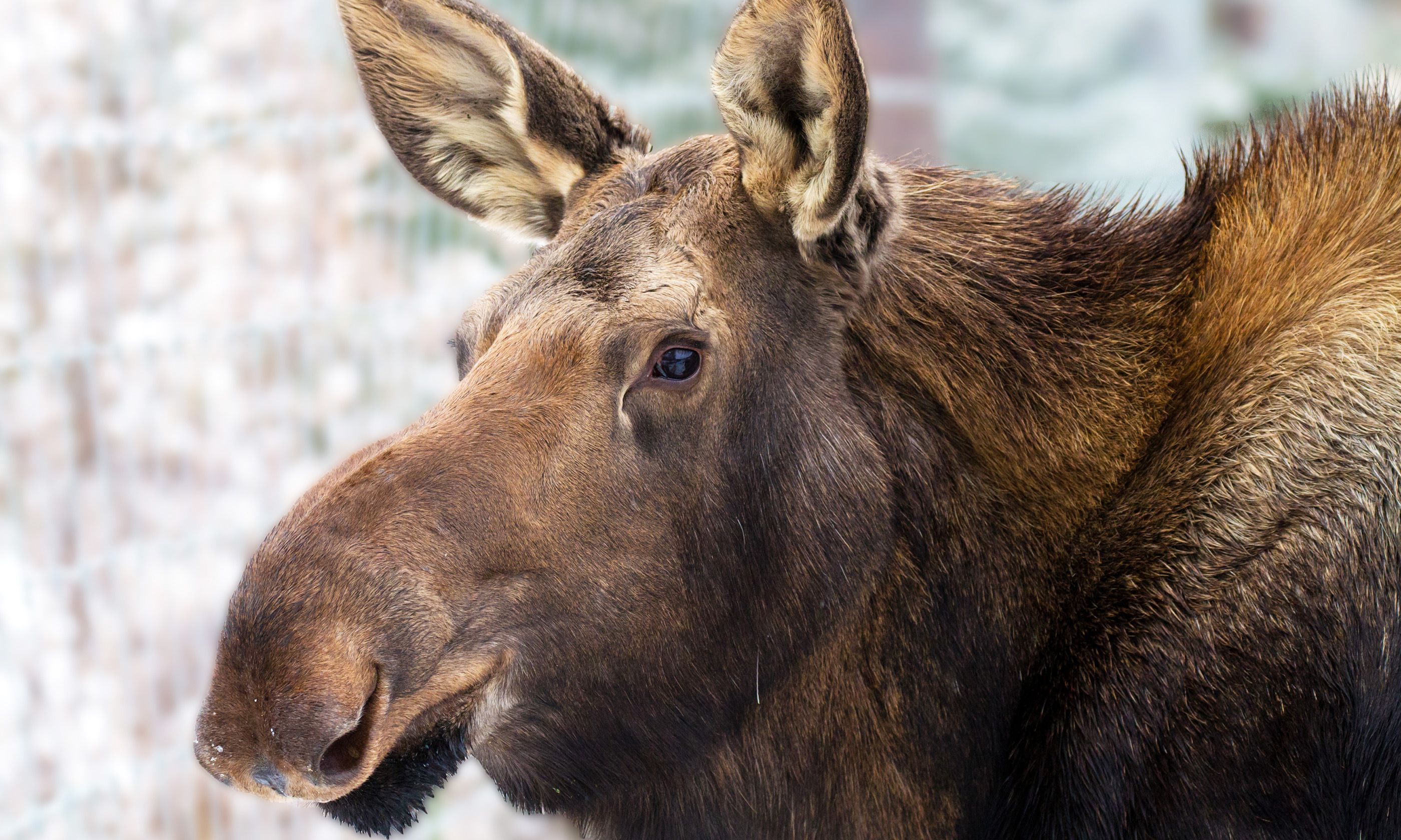 Best places to visit in Yukon, Canada | Wanderlust