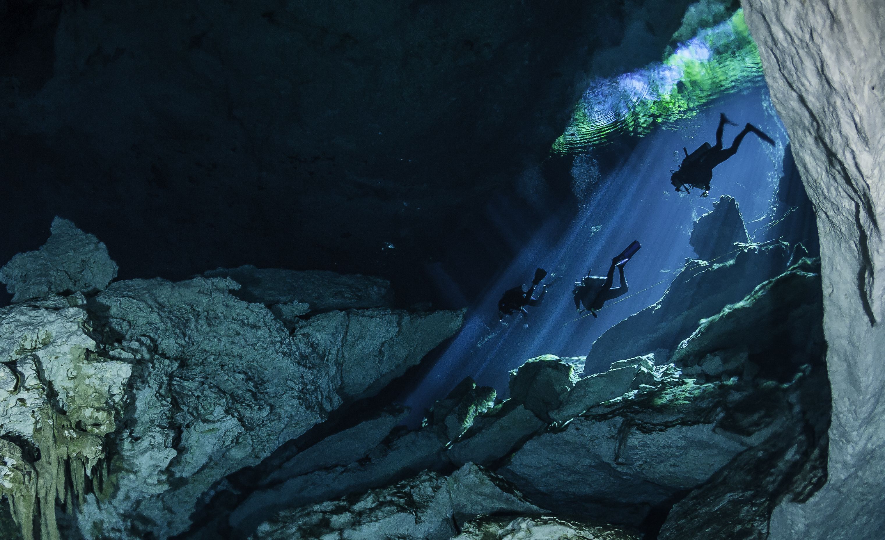 The cenotes, Mexico (Shutterstock)