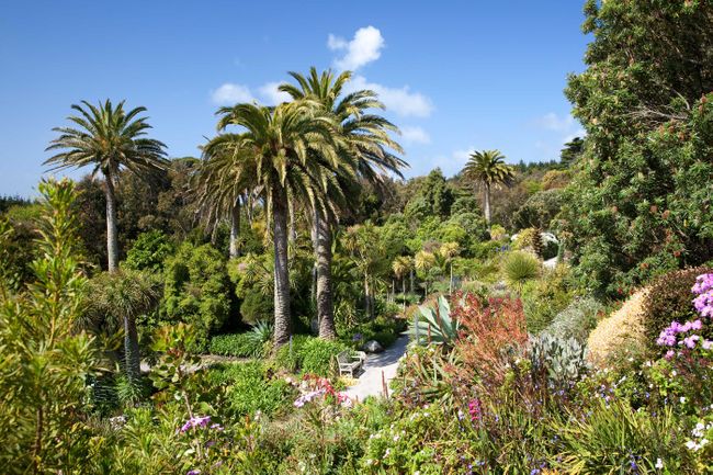 Tresco Gardens on the Isles of Scilly (Shutterstock)