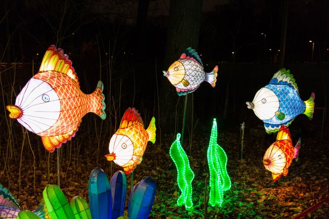 Chinese fish 5 Things You Didn't Know About Chinese New Year | Wanderlust