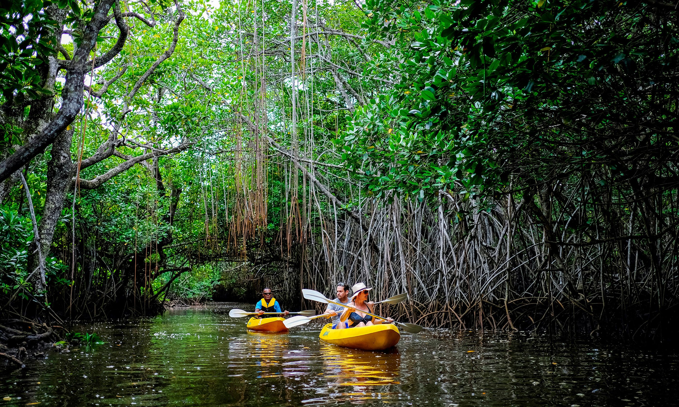Fiji's top 5 nature and sustainability projects | Wanderlust