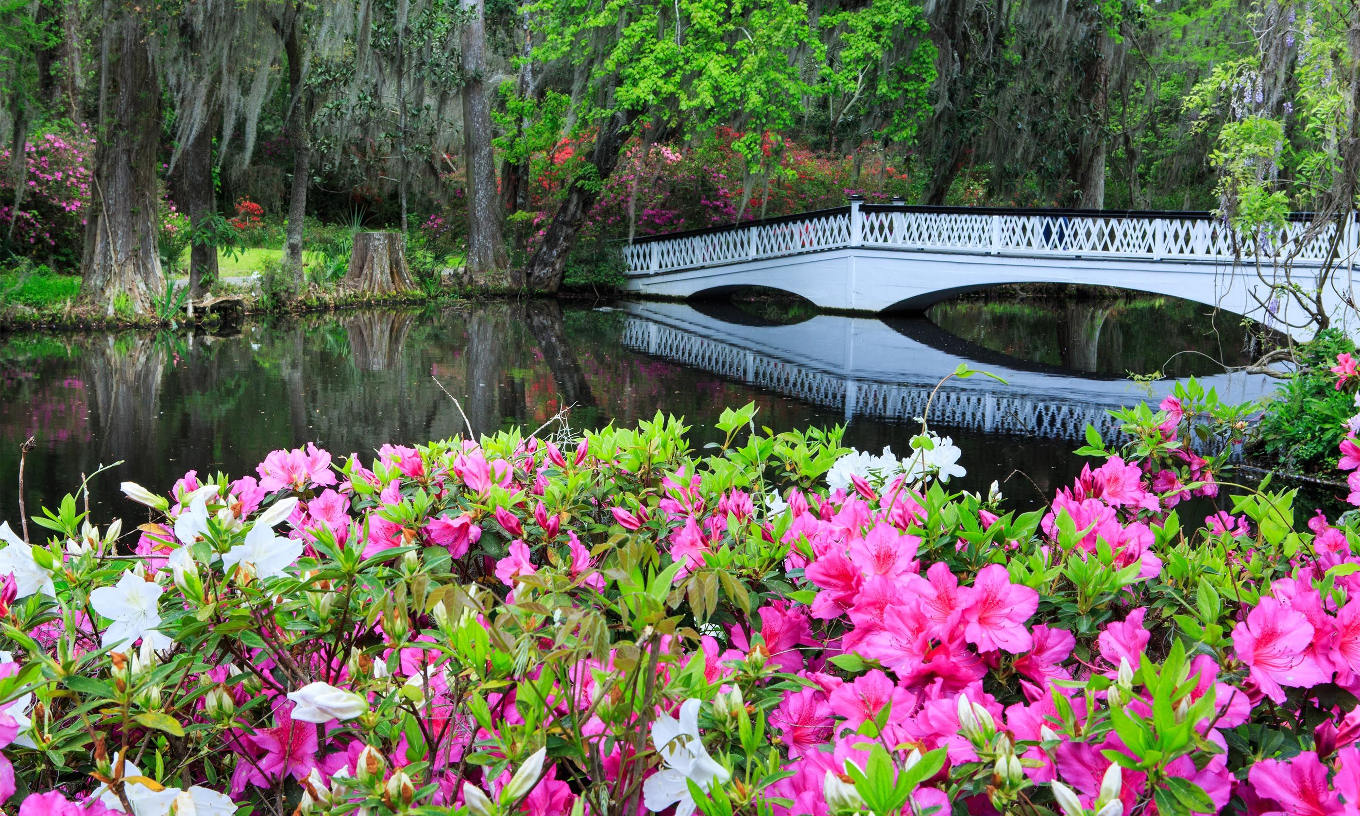 The Ultimate Charleston, South Carolina Travel Guide Wanderlust