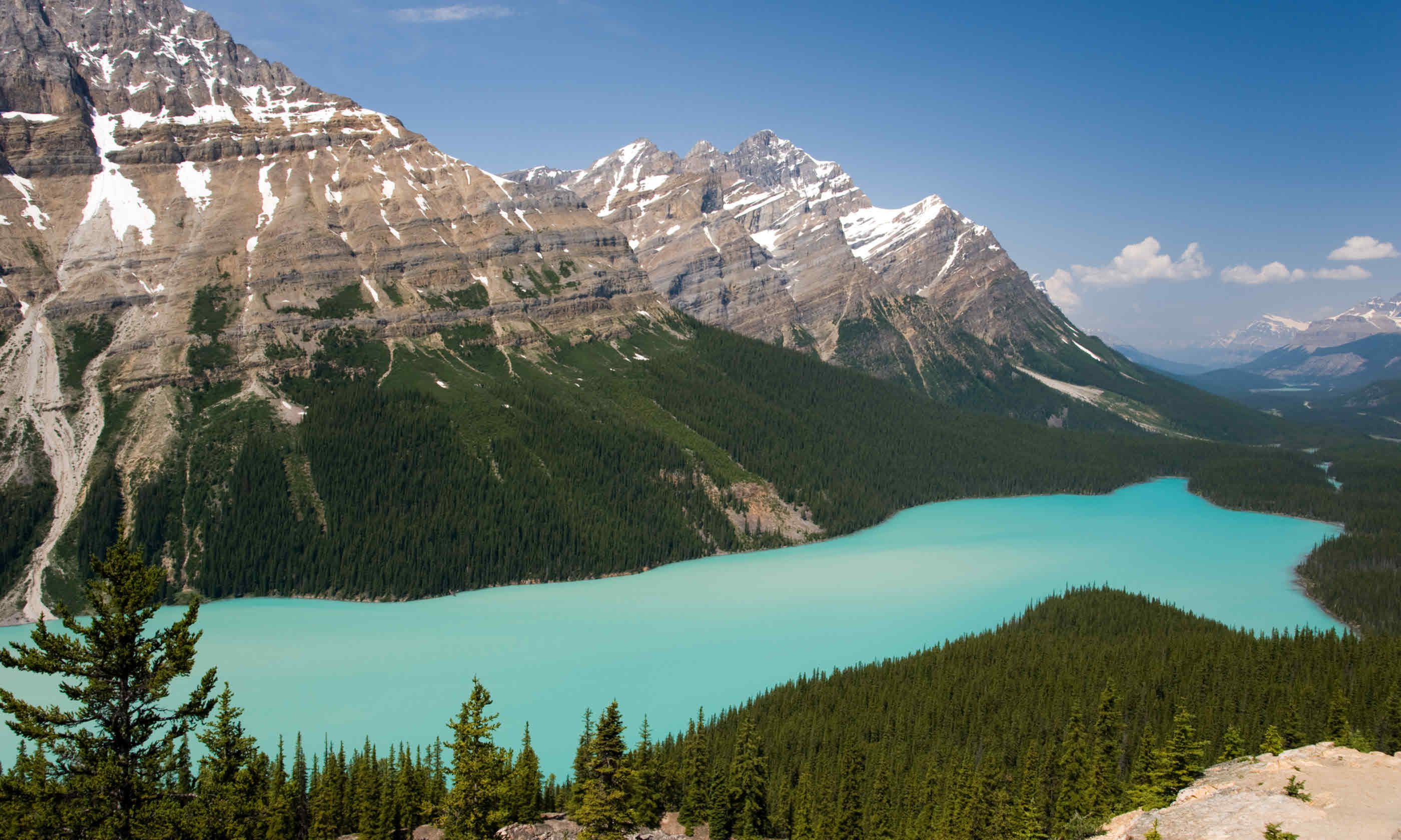Peyto Lake, Canada (Dreamstime)