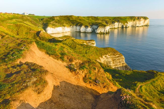 Flamborough Head's white cliffs (Shutterstock)