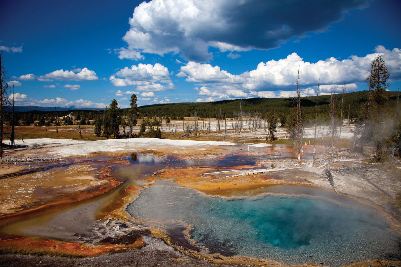 Yellowstone National Park, USA. (iStock)