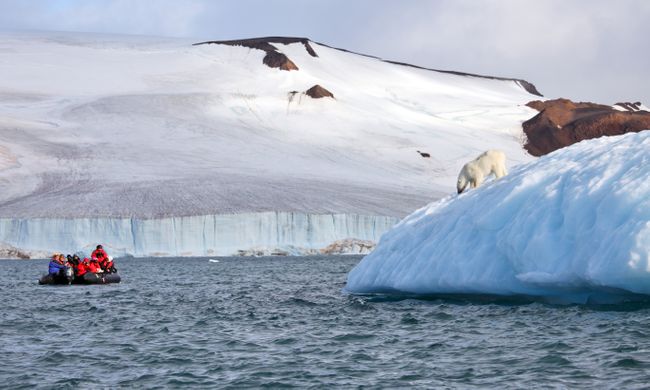 The 7 Best Places To See Polar Bears In The Wild Wanderlust