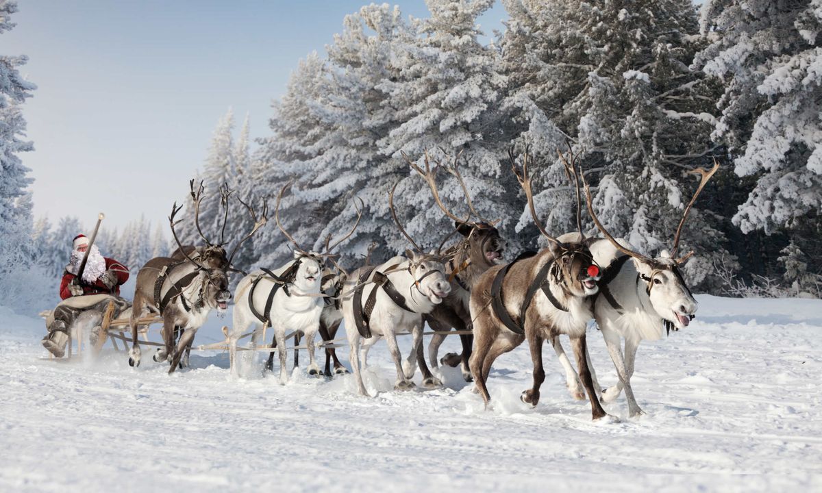 Rudolph Reveals All: Exclusive Interview with the World's Most Famous