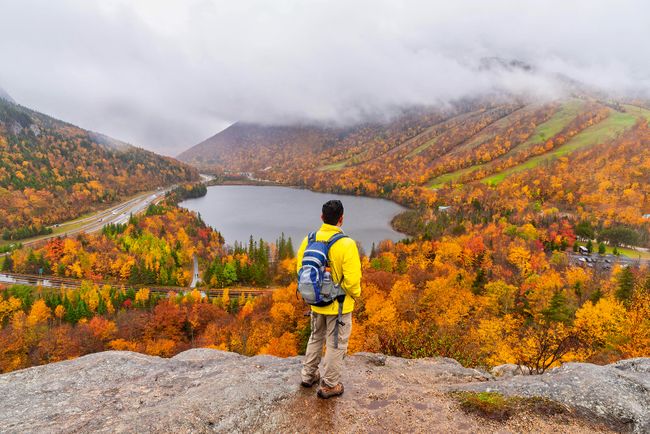 Wanderlust Whirl Top Travel Trends