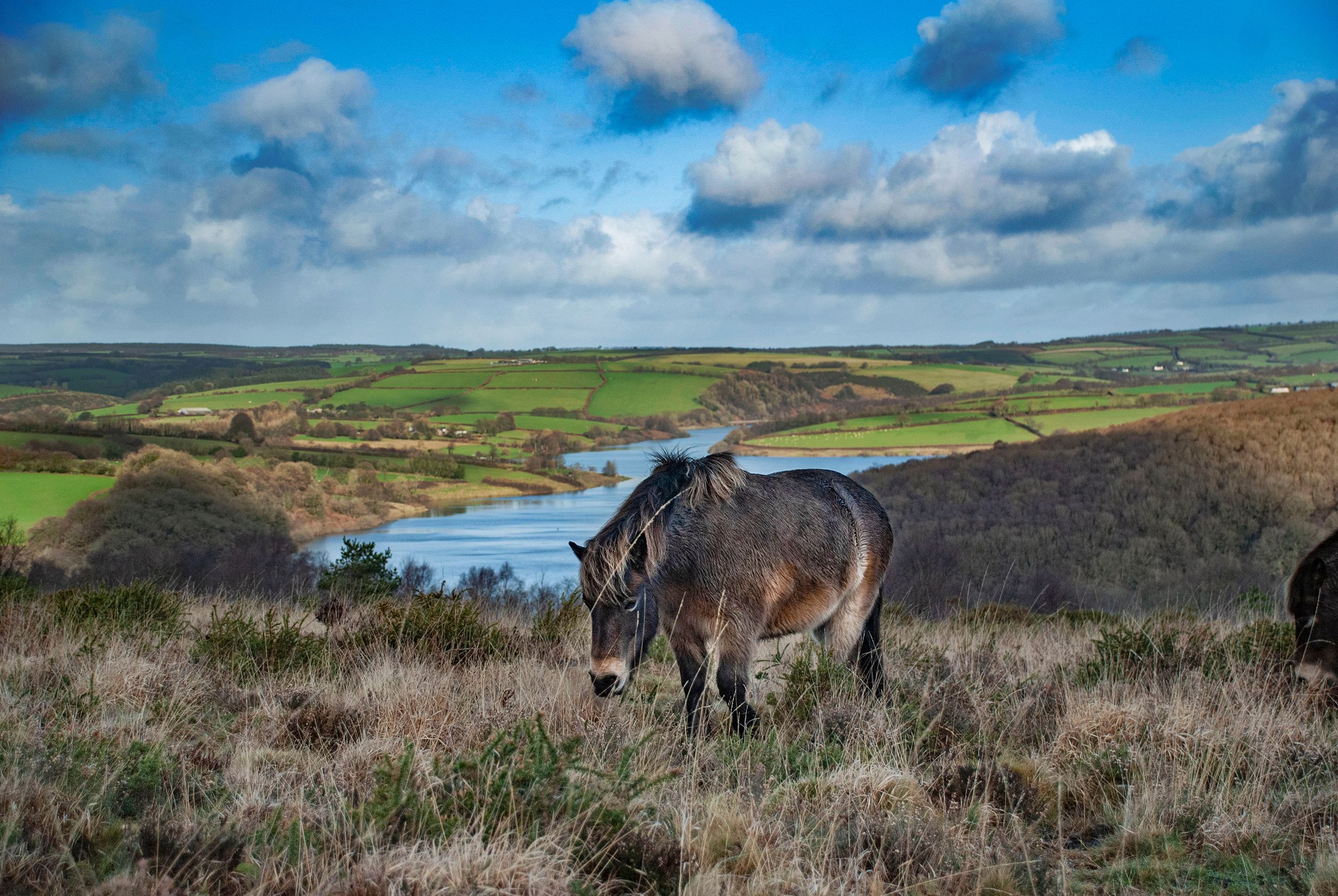 A short break guide to Exmoor National Park Asia Travel News