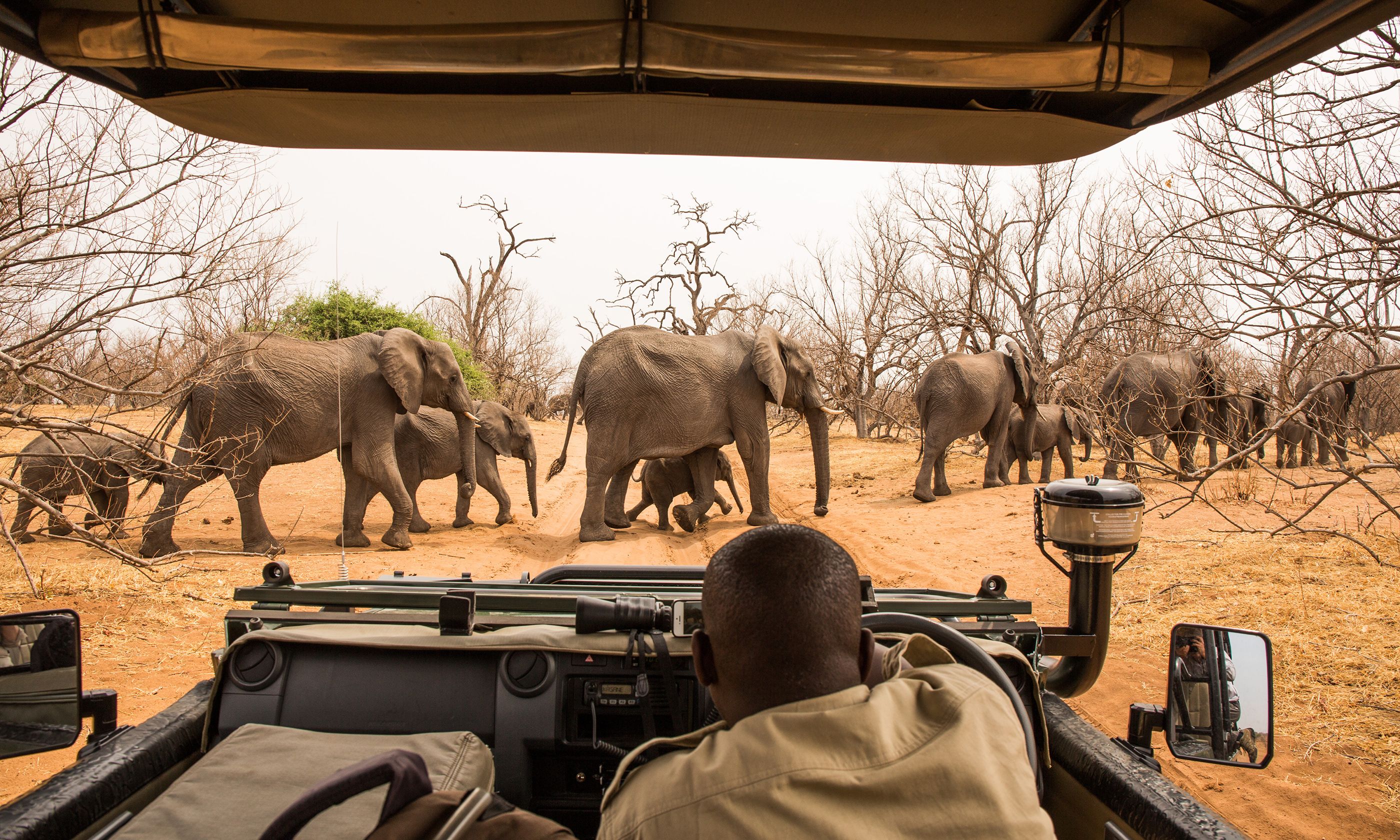 10 Of The World S Best Places To See Elephants Wanderlust