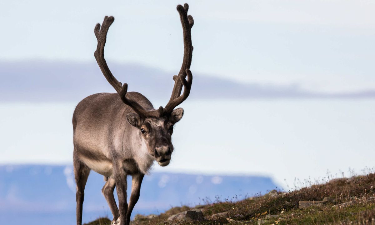 rudolph reveals all exclusive