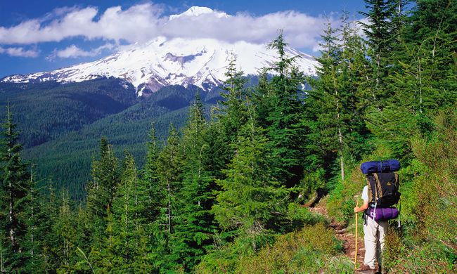 Portland Oregon The Hiking Wonderland You Didn T Know Existed Wanderlust Mt Hood Hiking Trails