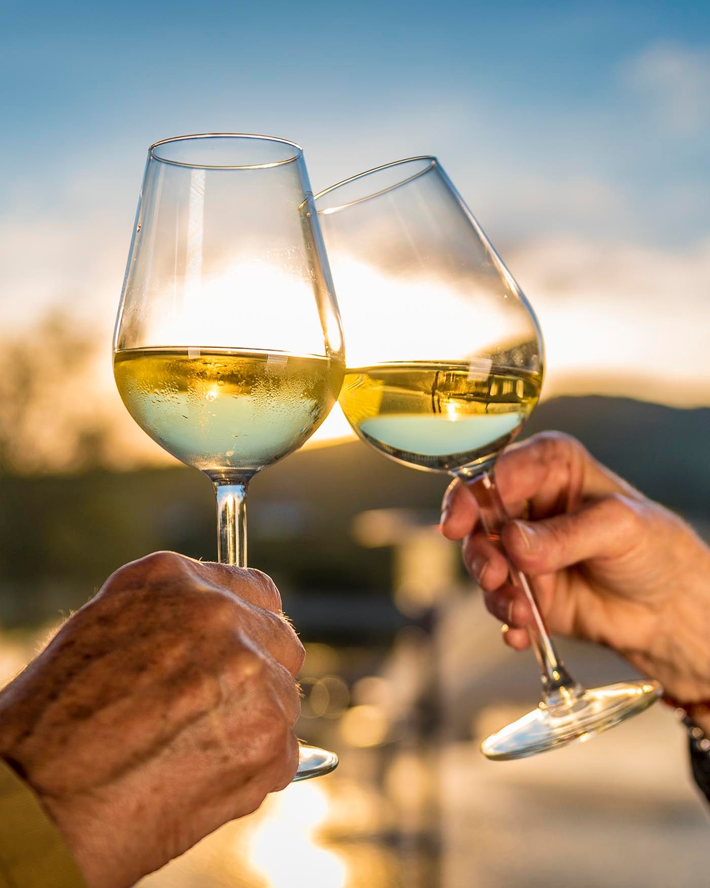 Travel Guide to the Best of Luxembourg's Wine Tours Wanderlust