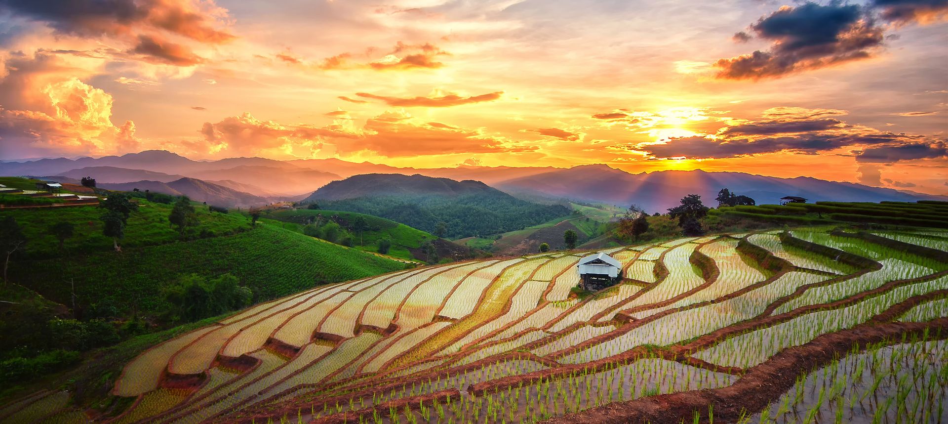7 must-try experiences in Thailand post-lockdown