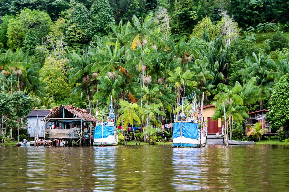 The 7 Best Things To Do In French Guiana Wanderlust The 7 Best Things To Do In French Guiana Wanderlust