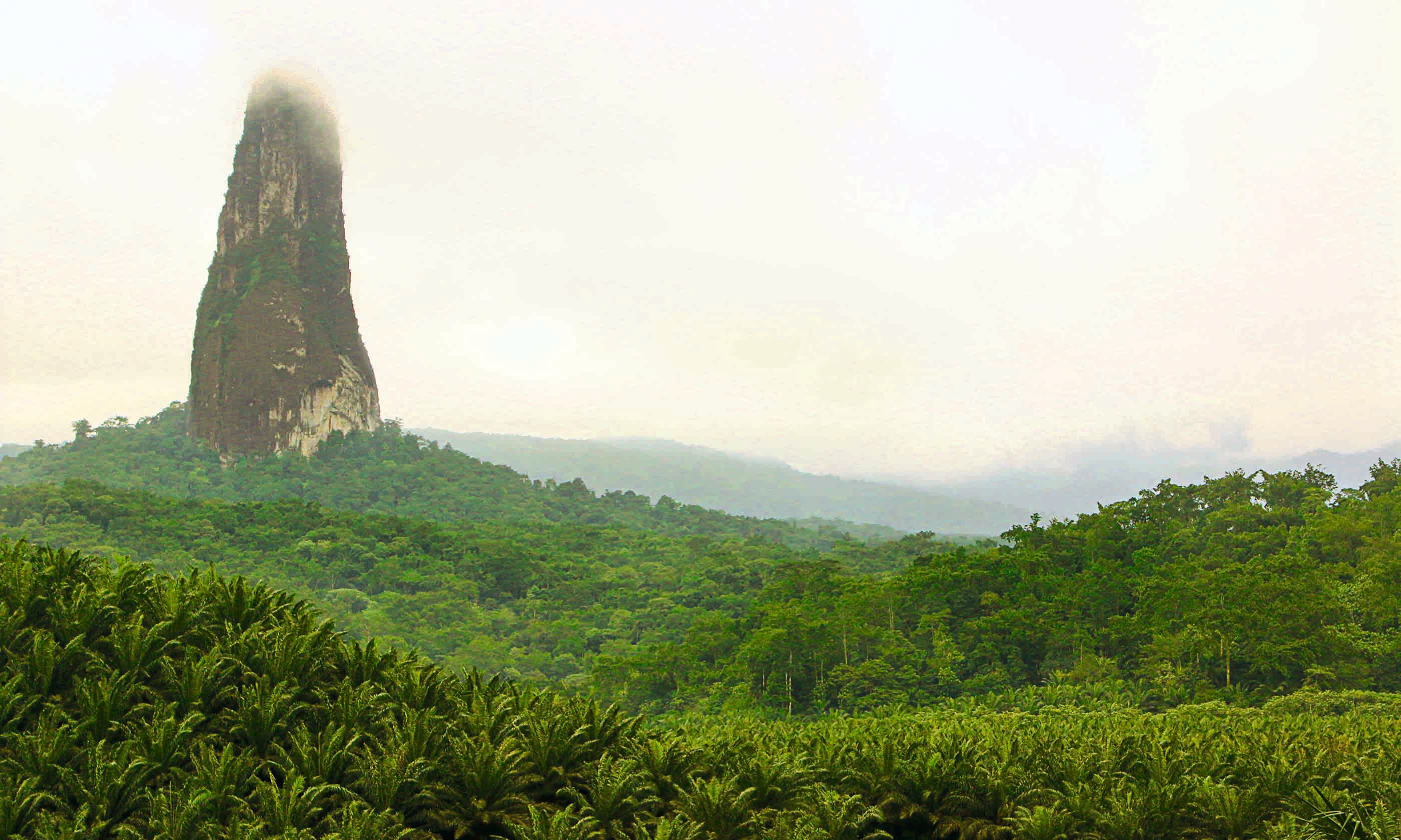 Why Visit Sao Tome And Principe In August Wanderlust