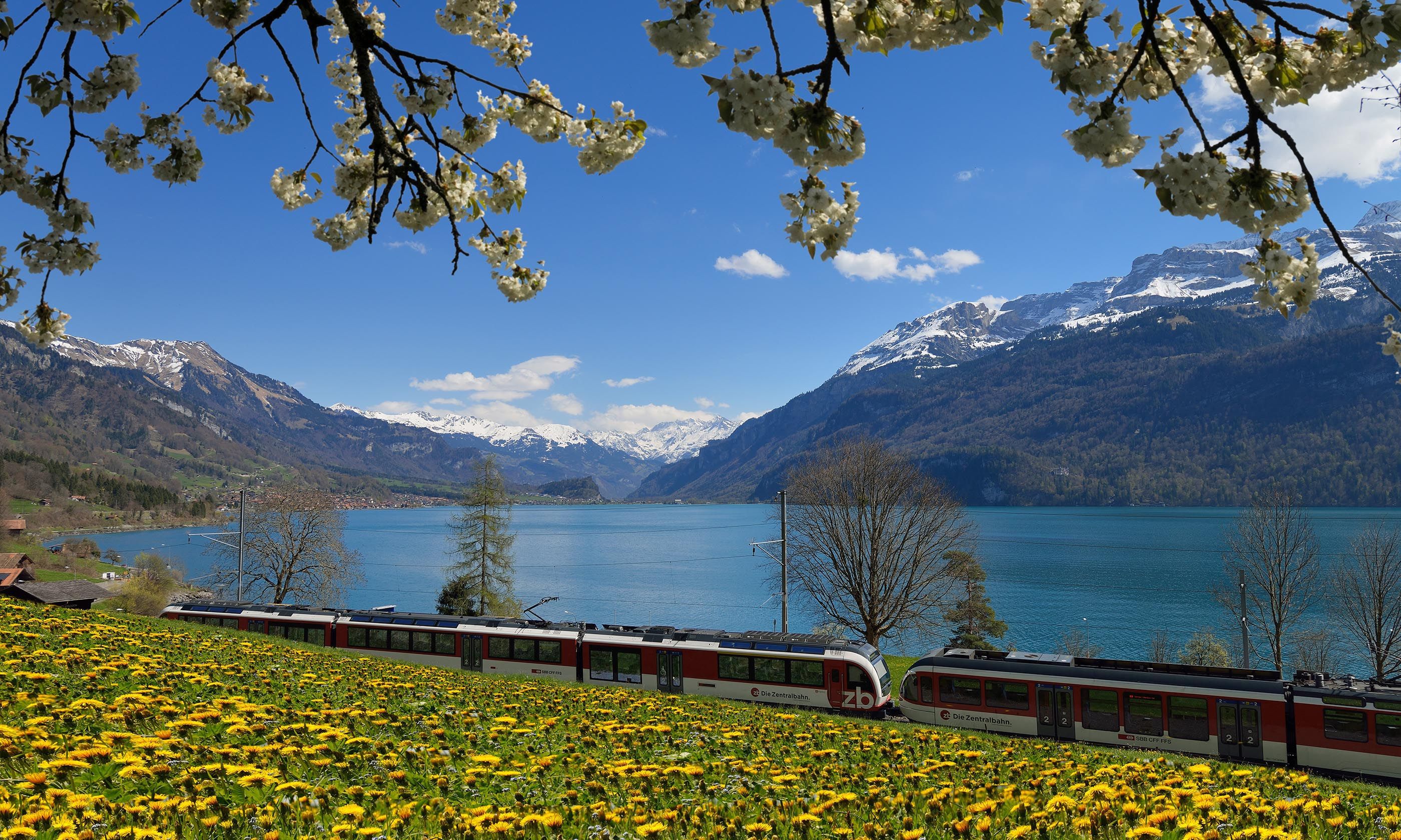 8 of the most spectacular rail journeys in Switzerland Wanderlust