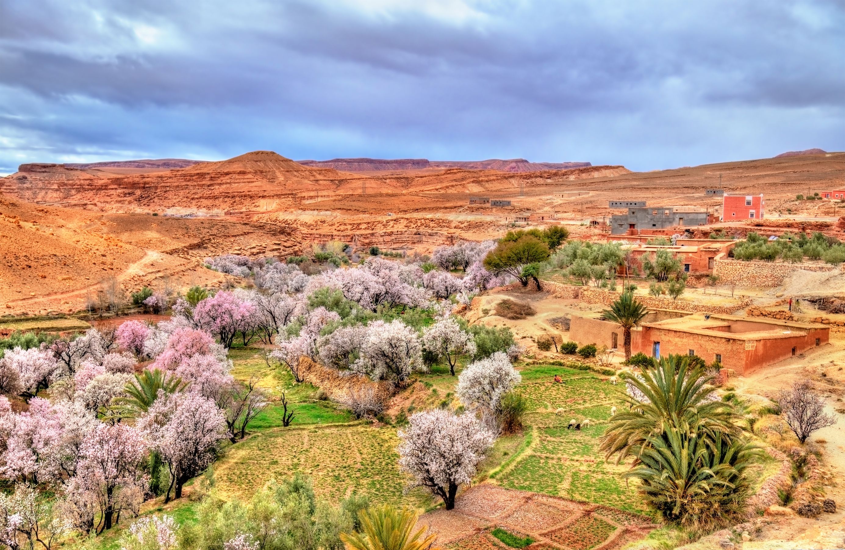 9 of the best destinations to watch flowers bloom Wanderlust
