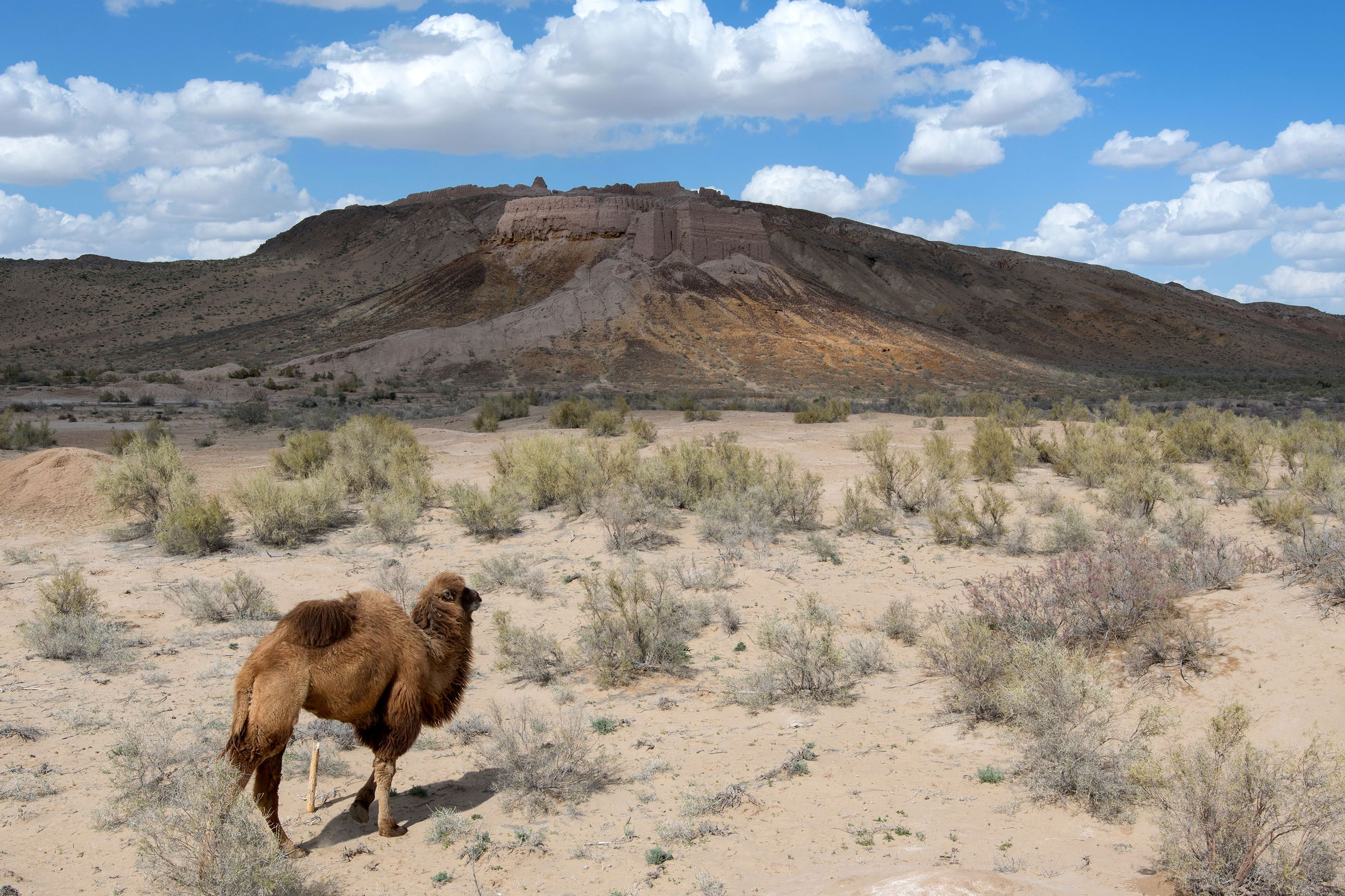 The 9 Best Ecotourism Experiences in Central Asia | Wanderlust