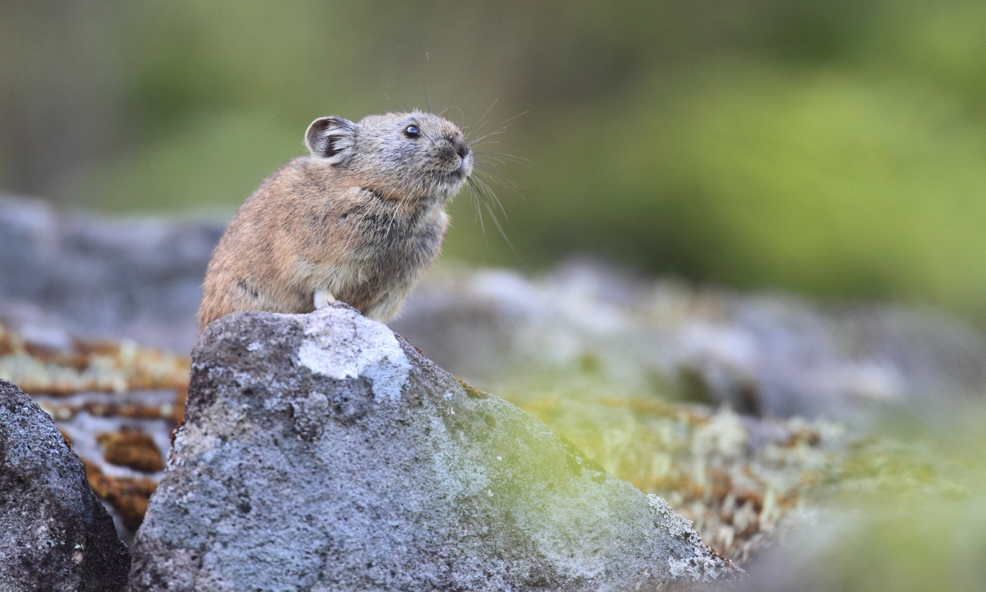 6 reasons you must hike the Pacific Crest Trail | Wanderlust