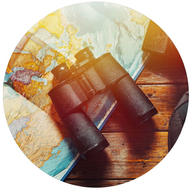 Wildlife and safaris | Wanderlust