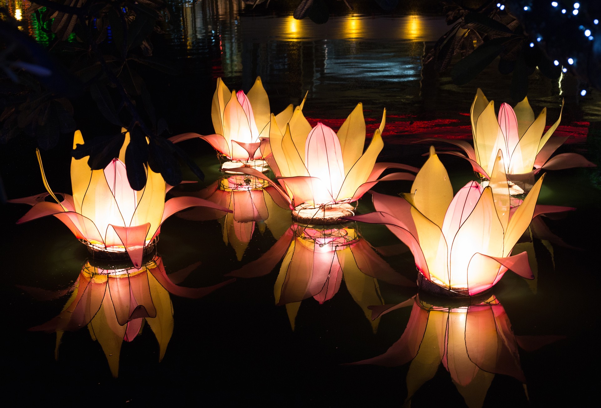 Vesak: A Guide to Celebrating Buddha's Life | Wanderlust Celebrating the Sacred: Happy Vesak Day Wishes Vesak: A Guide to Celebrating Buddha's Life | Wanderlust