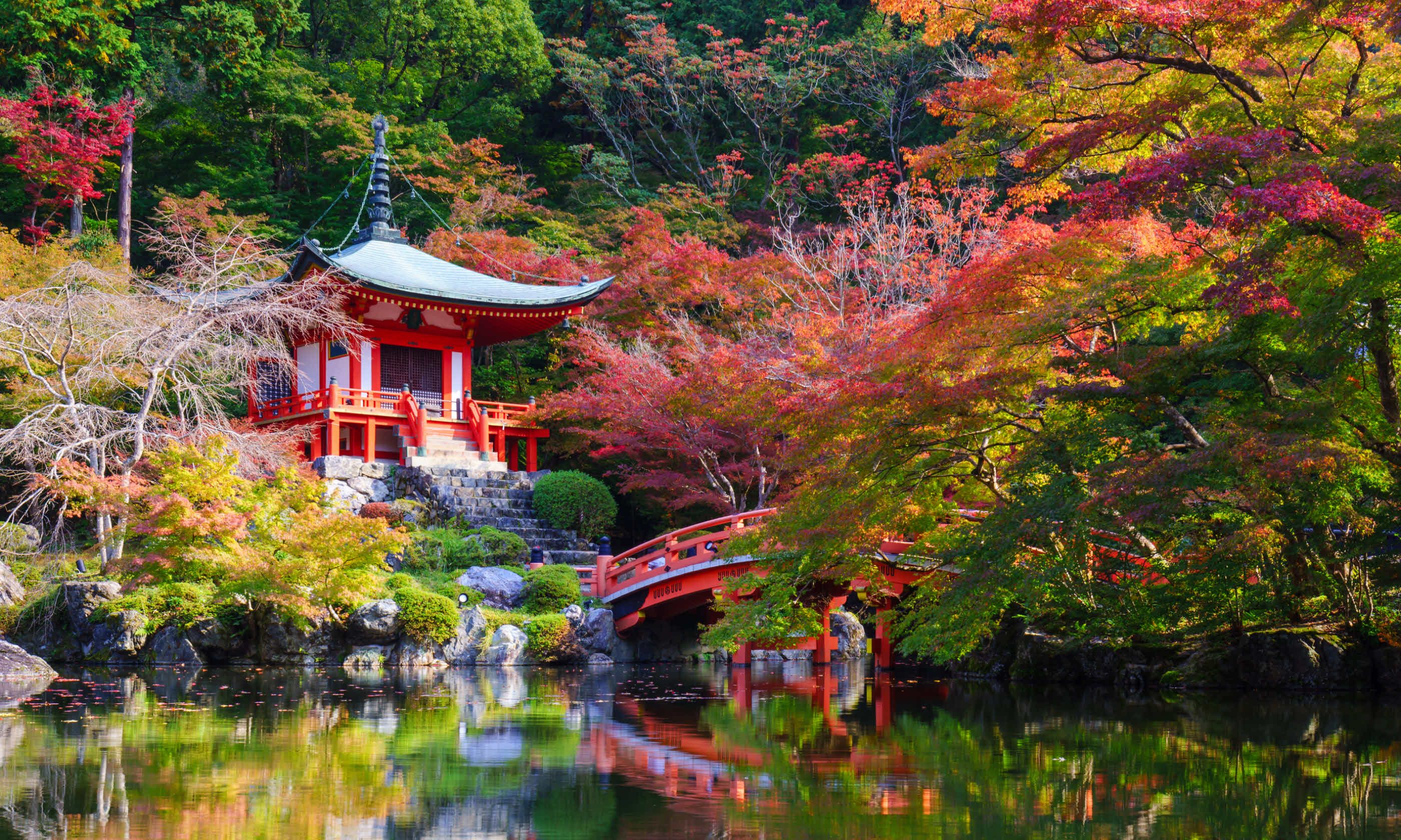 Daigoji Temple in Autumn, Kyoto, Japan (Dreamstime)
