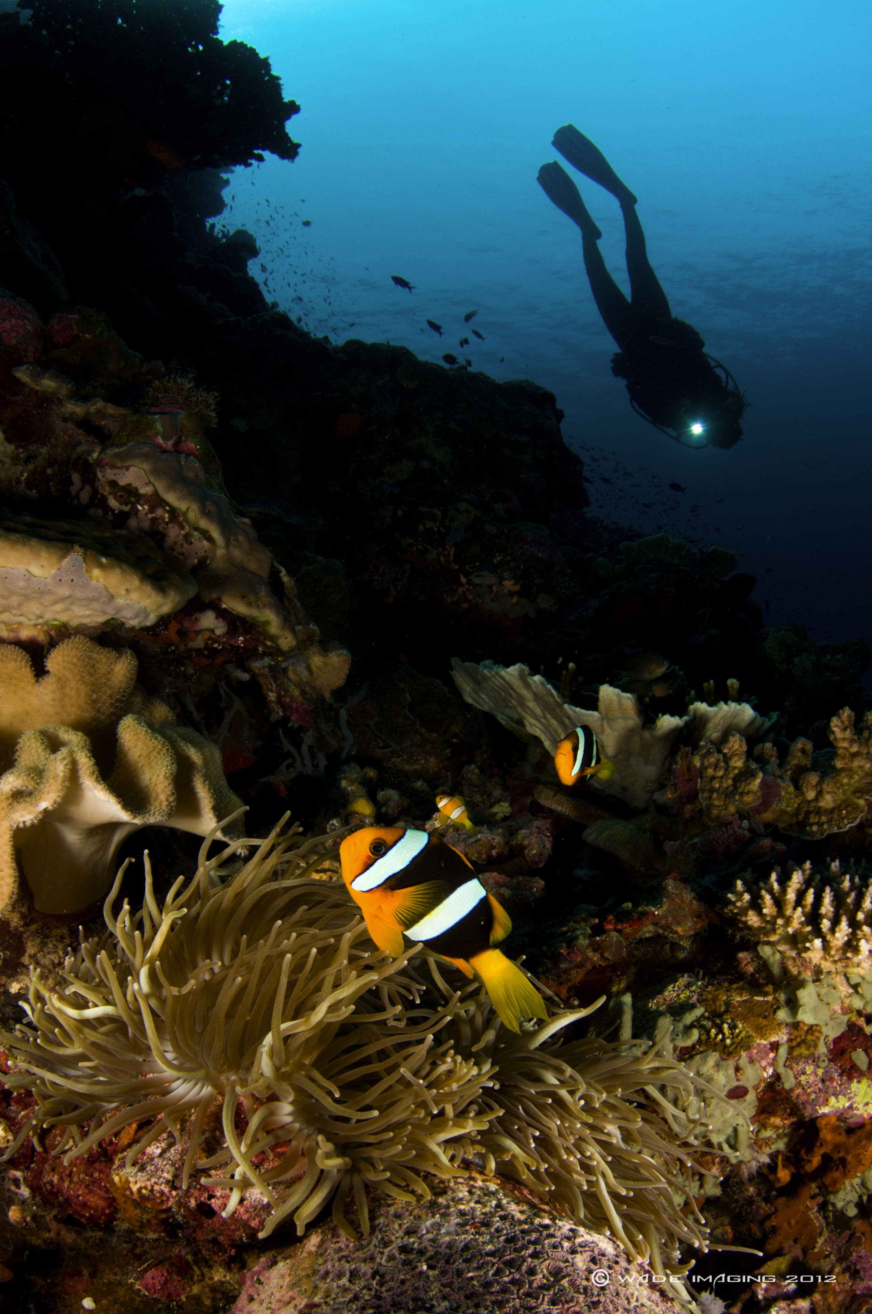 Why Papua New Guinea is one of the world