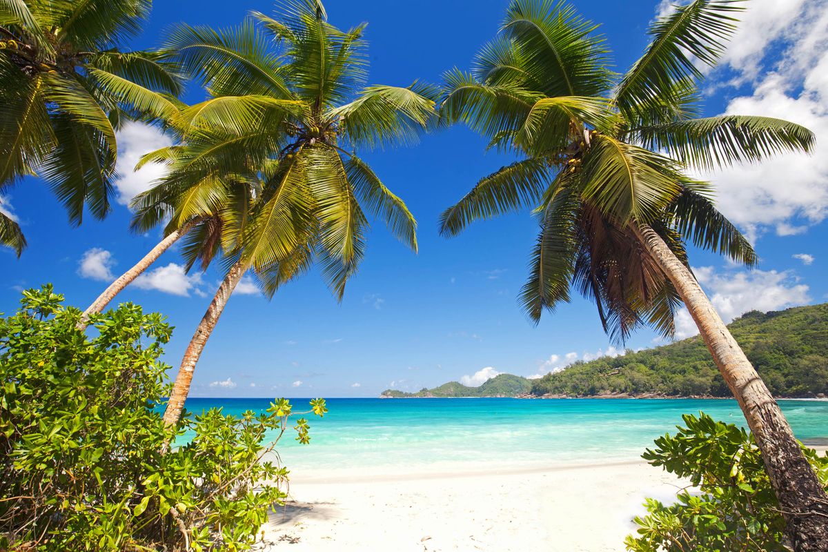 Takamaka beach, Mahe Island (Dreamstime)
