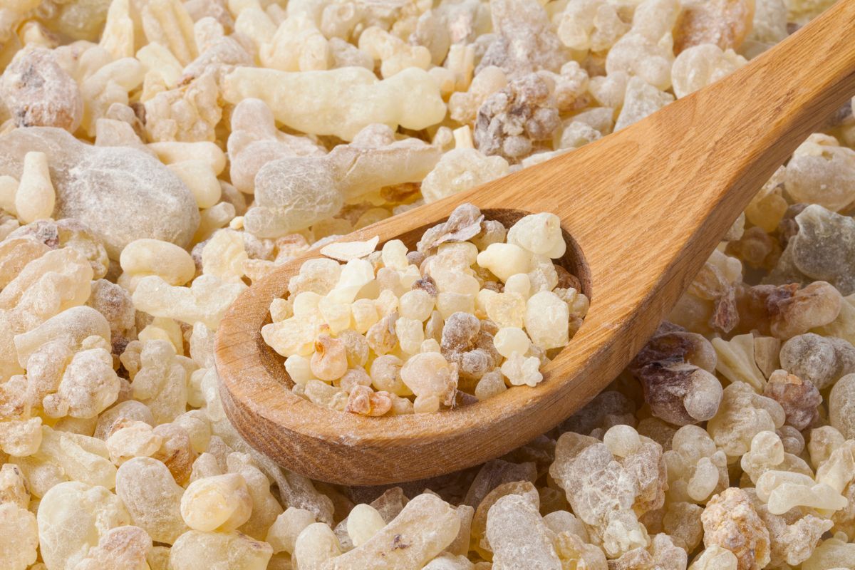 Frankincense.(Dreamstime)