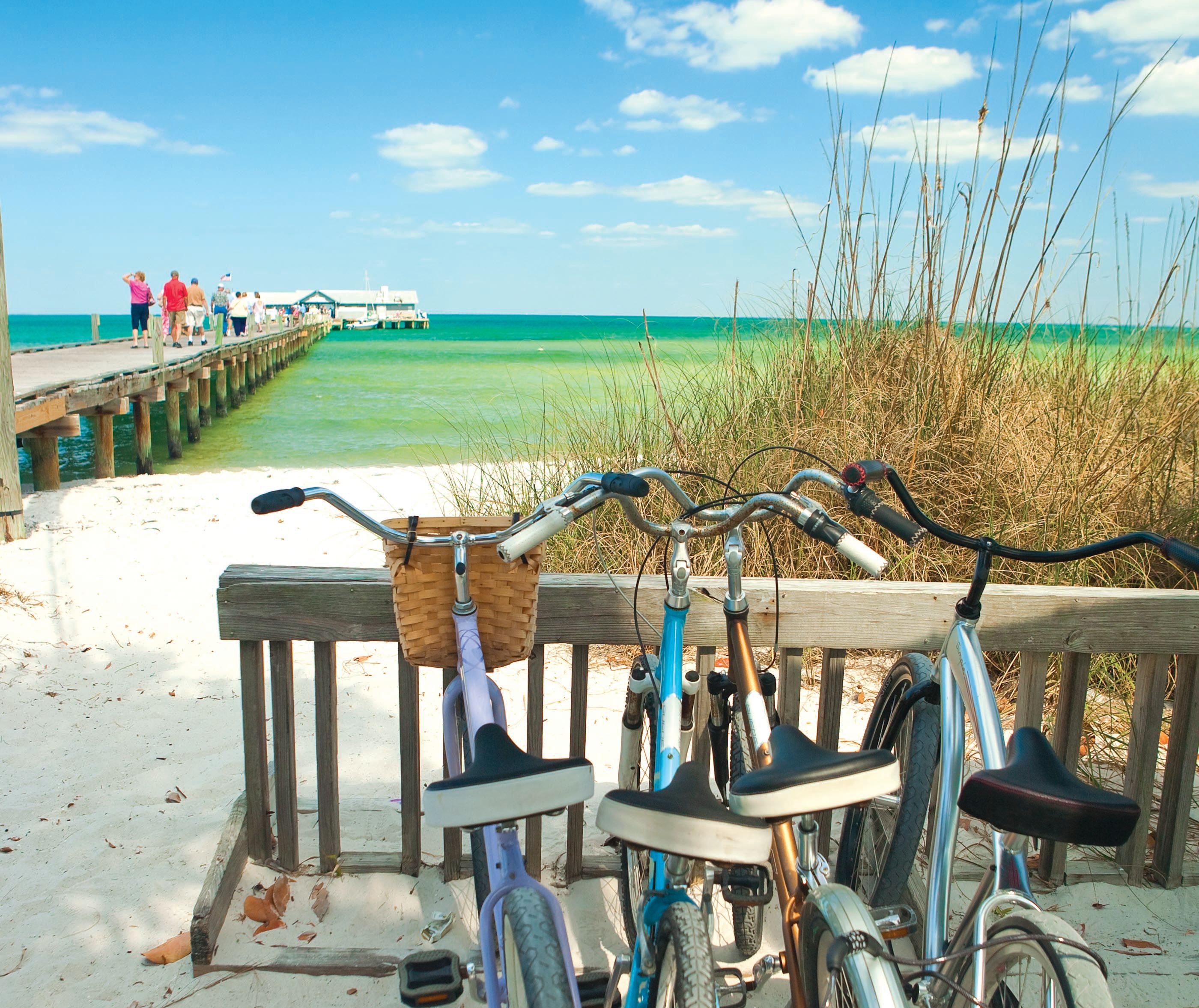 Go off the beaten track in Bradenton Area, Florida Wanderlust