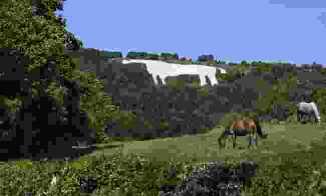 Kilburn White Horse (Dreamstime)