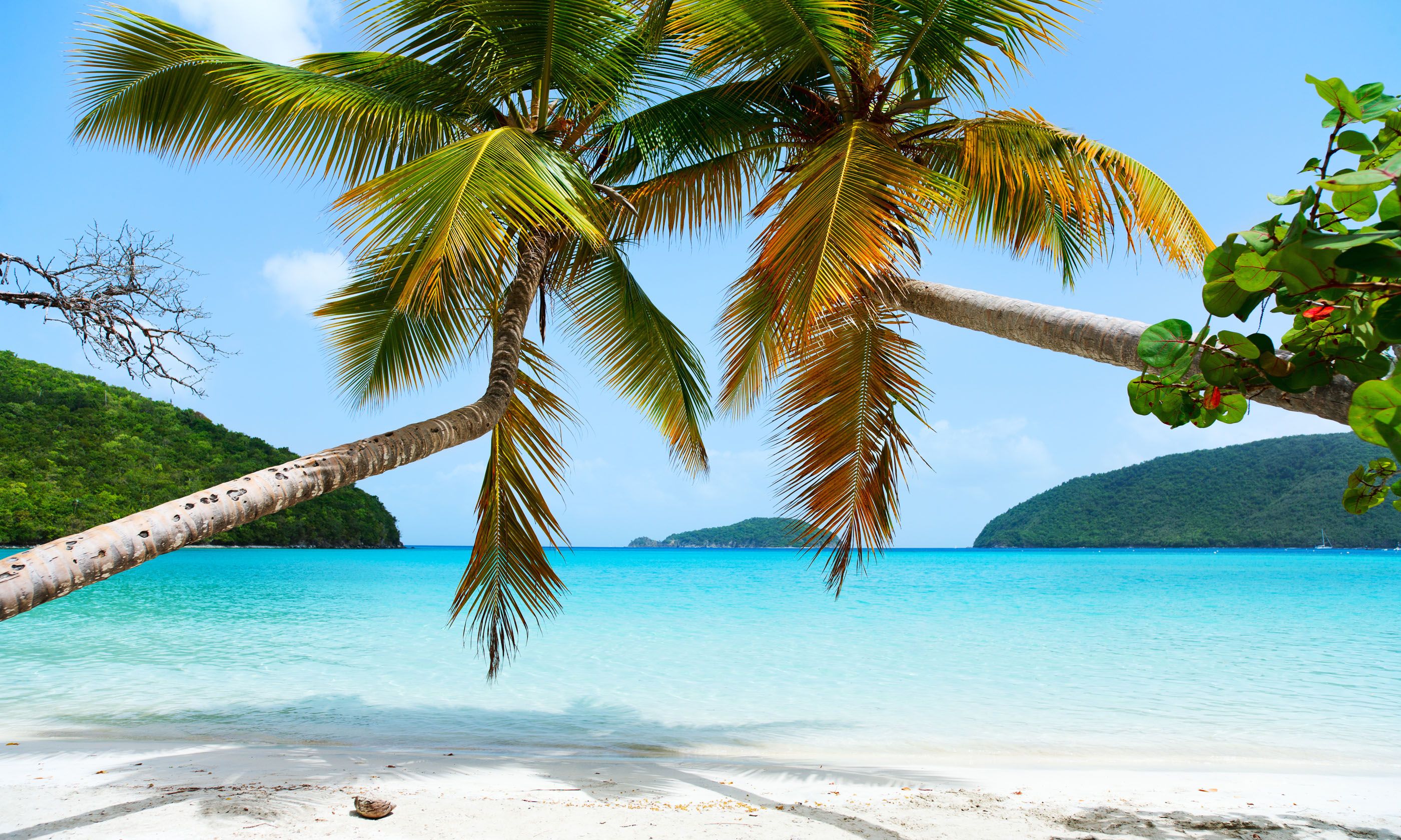 5 reasons to visit the U.S. Virgin Islands | Wanderlust