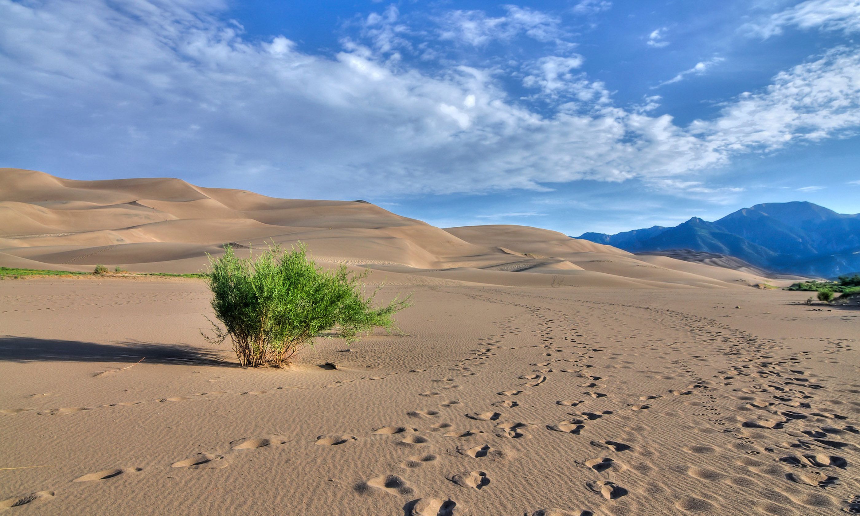 Great Sand Dunes National Park (Runaway Juno)