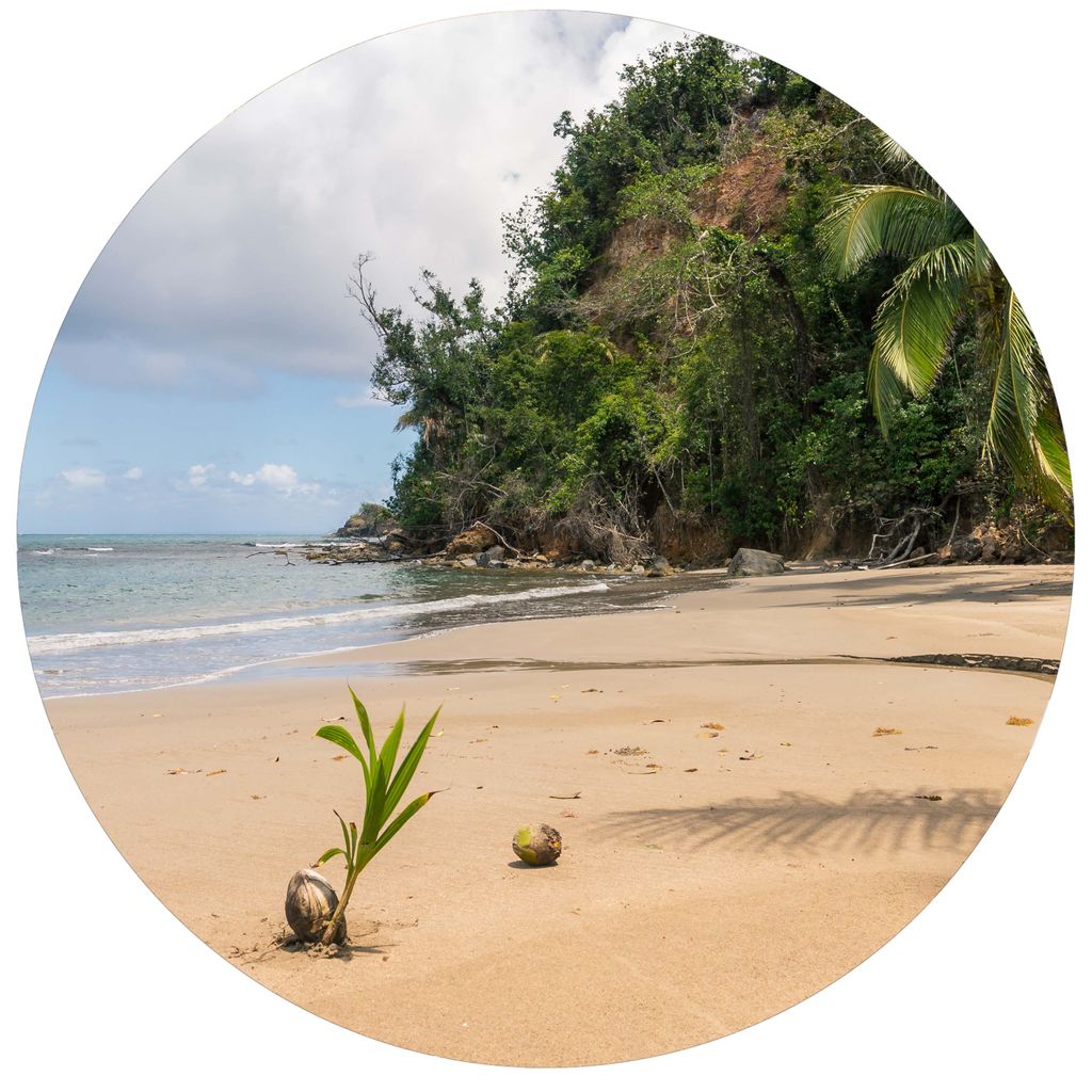 Be inspired by the beaches