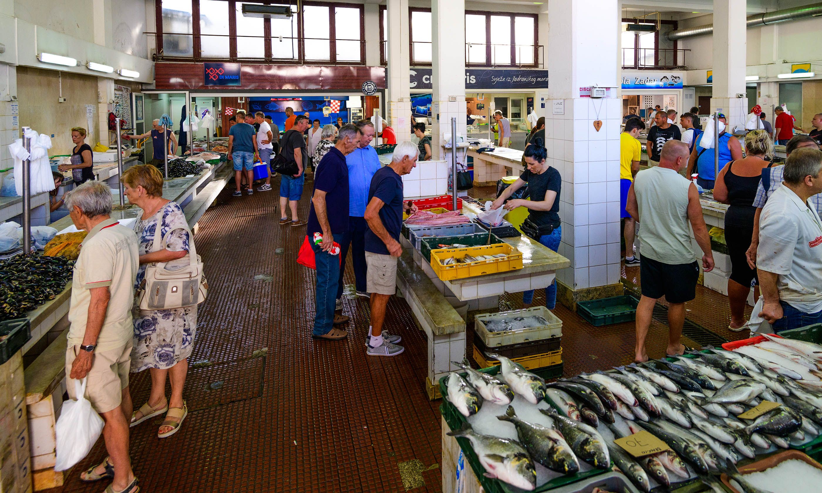 Zadar, Croatia 9 best things to see and do Wanderlust