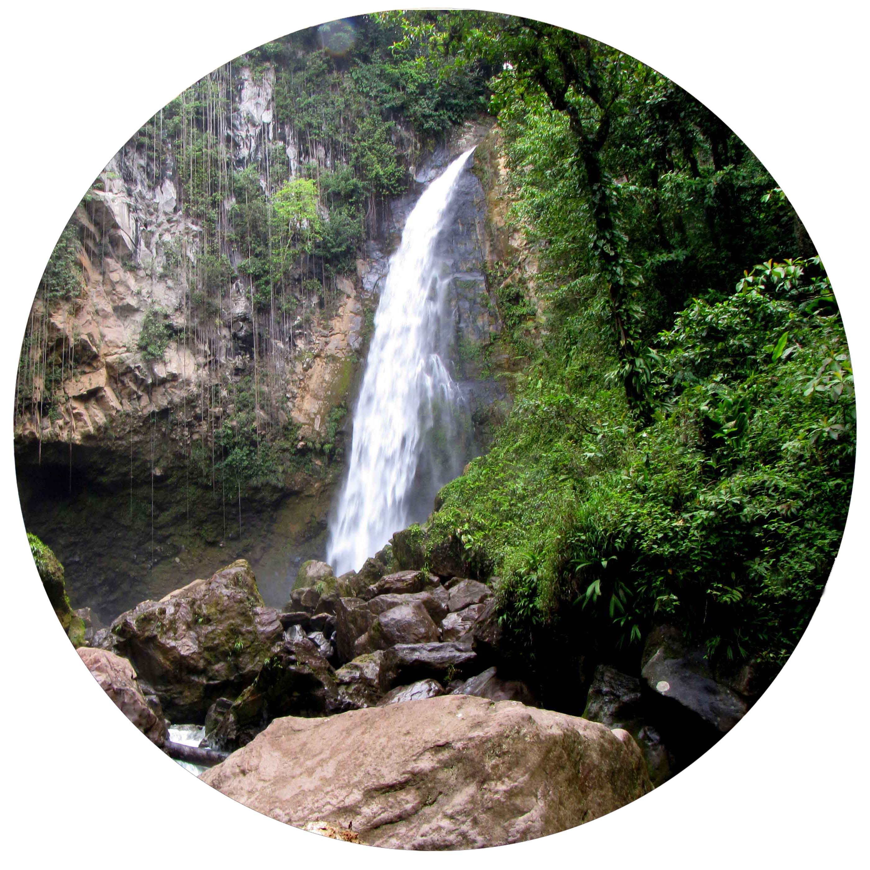 Experience clean, pure water