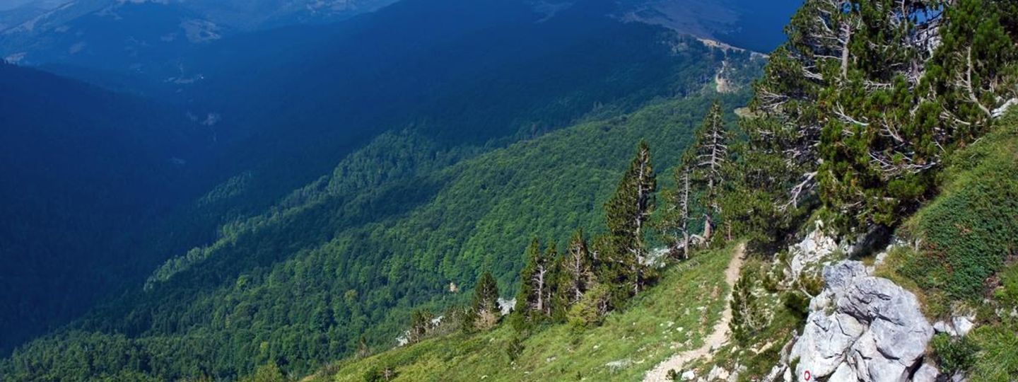Montenegro Montenegro