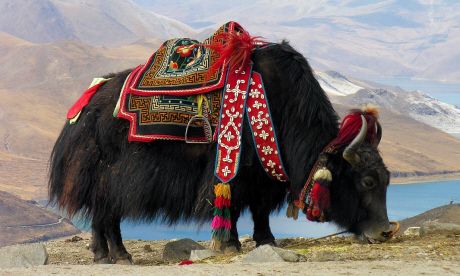 Ten things you need to know about visiting Tibet now Wanderlust