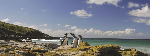 Falkland Islands Map Falkland Islands Map, Falkland Islands, Falkland Islands Map