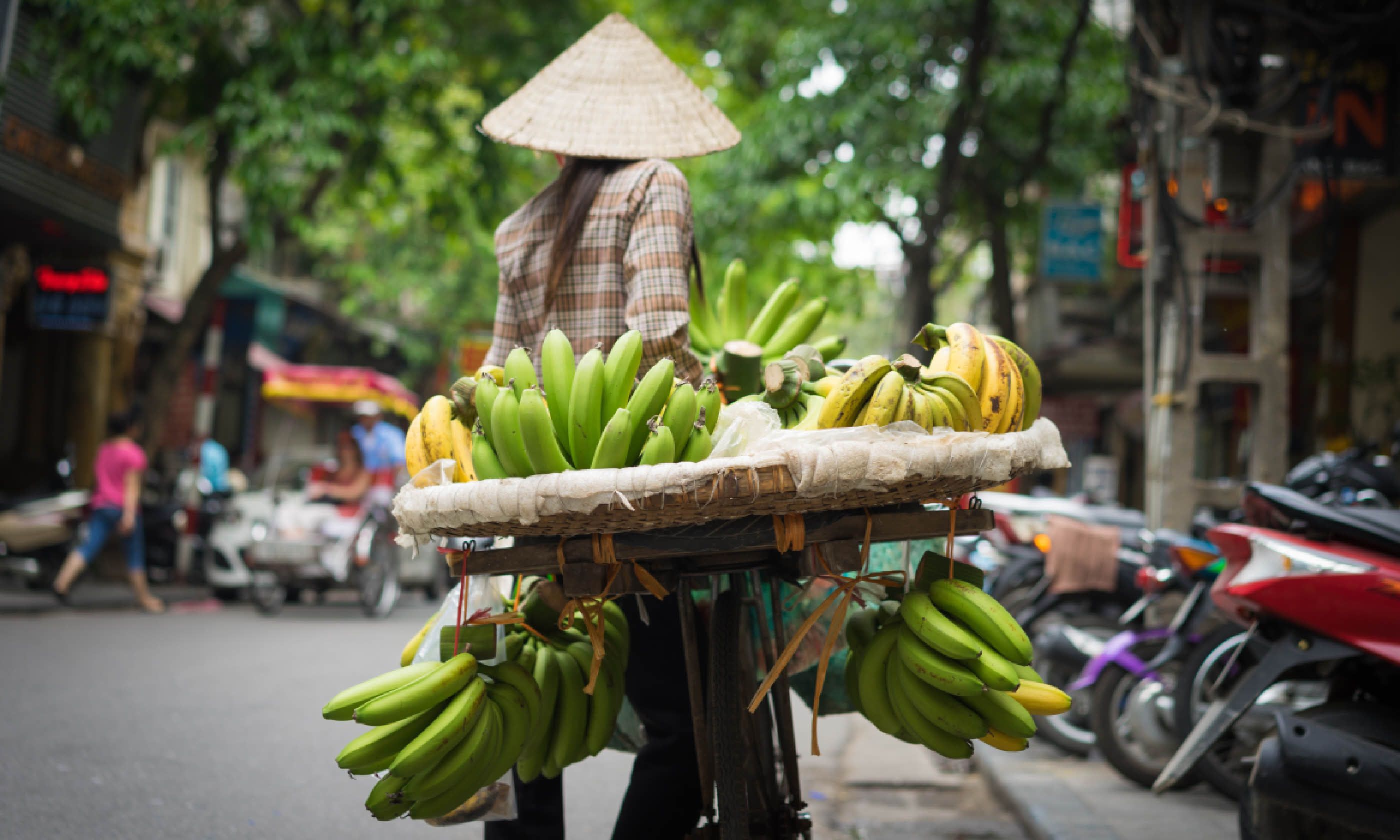 Hanoi fruit vendor, Vietnam (Shutterstock)