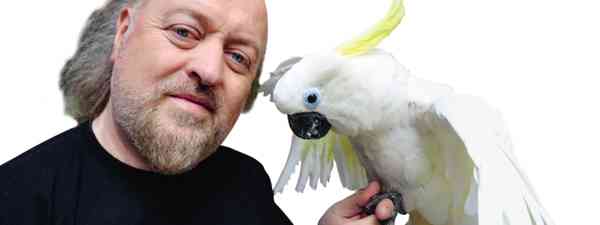 Bill Bailey It Was Part Of The Menu Prawns Crab Eel An Owl Wanderlust