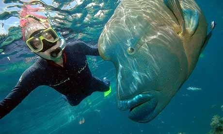 Why wild animals shouldn't be photo props Wanderlust