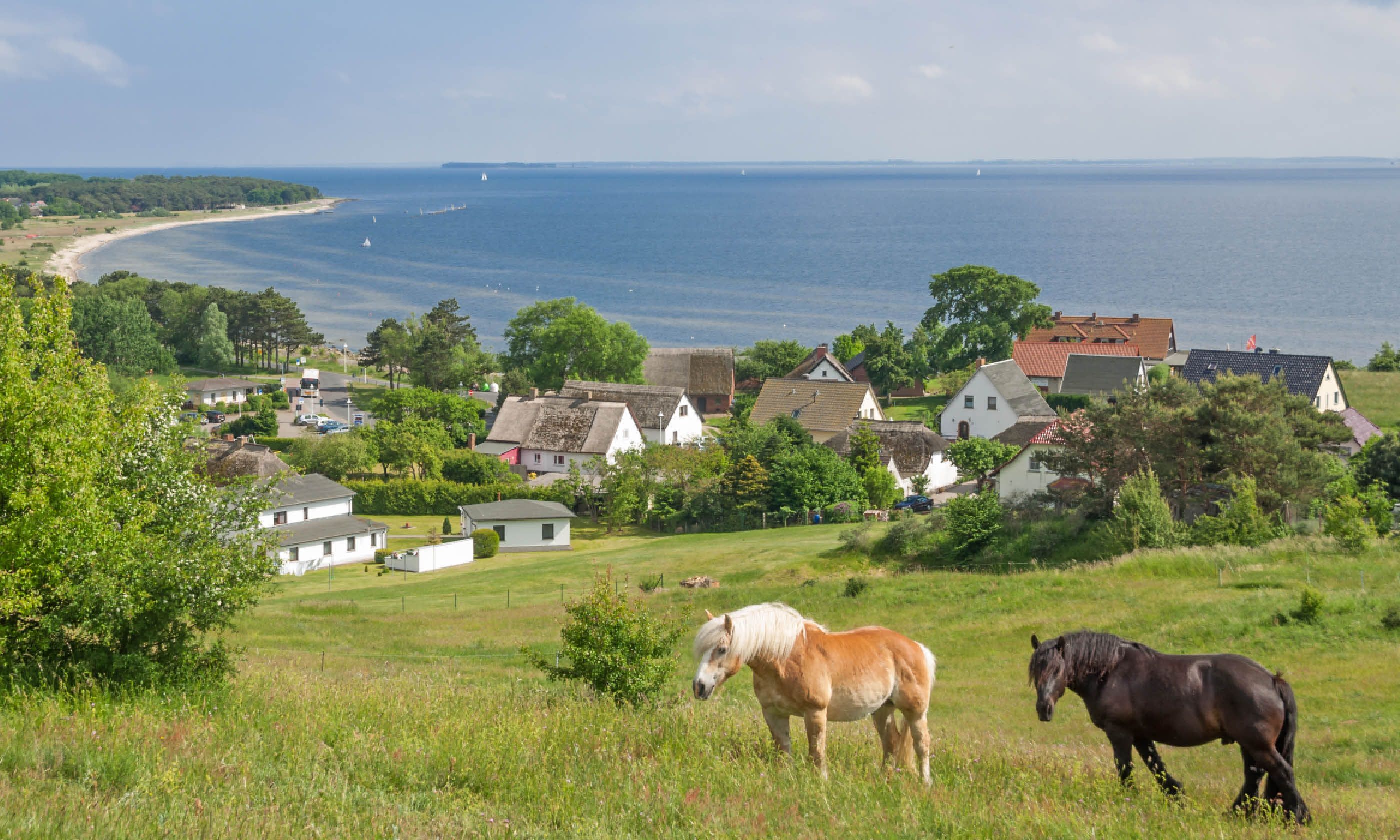 Klein-Zicker at Moenchgut region on Rugen Island (Shutterstock)