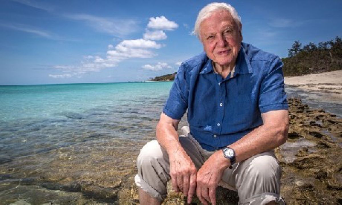 The best of Sir David Attenborough Wanderlust The best of Sir David Attenborough Wanderlust