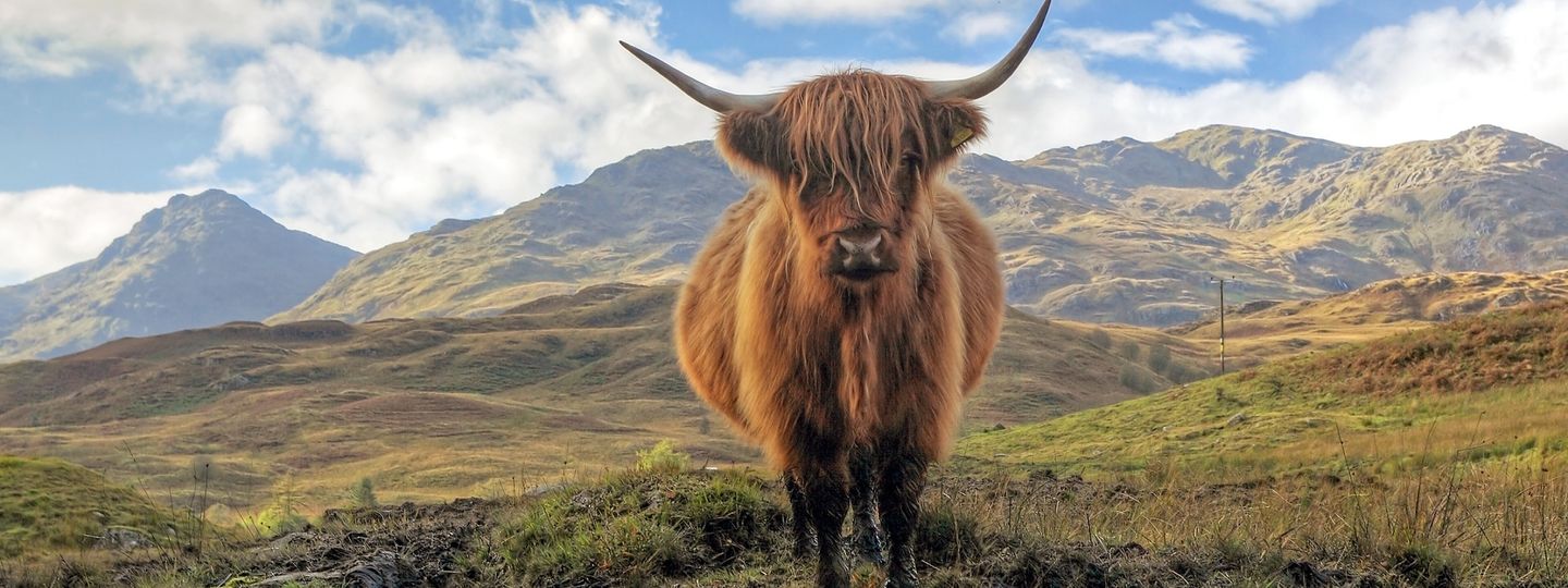 9 things you must do in scotland wanderlust