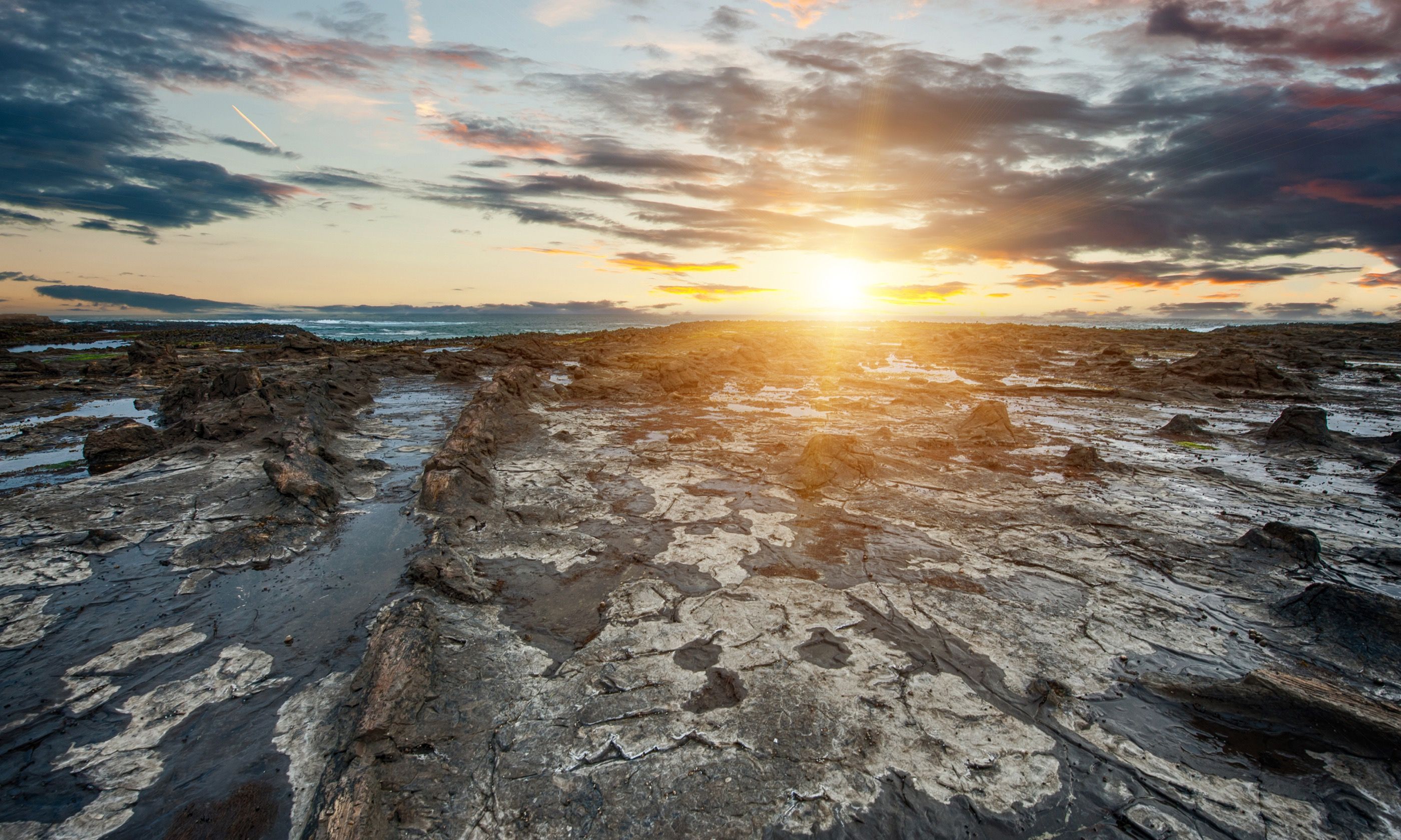 Ancient petrified forest (Shutterstock.com)