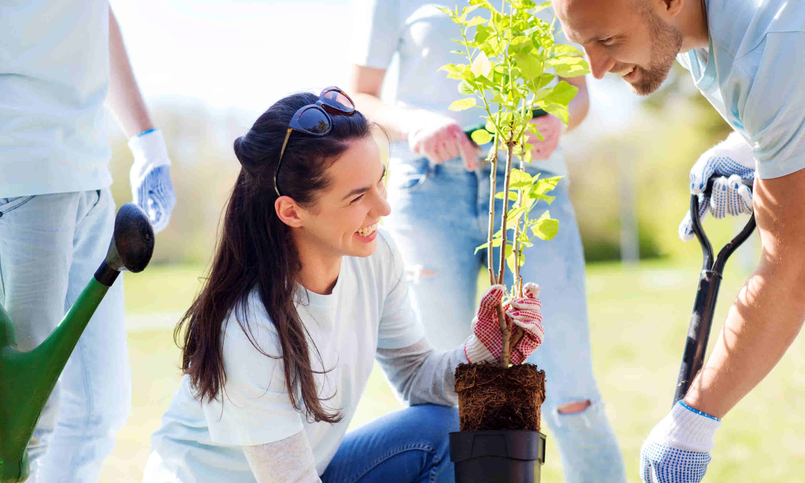 Volunteers planting tree (Shutterstock)